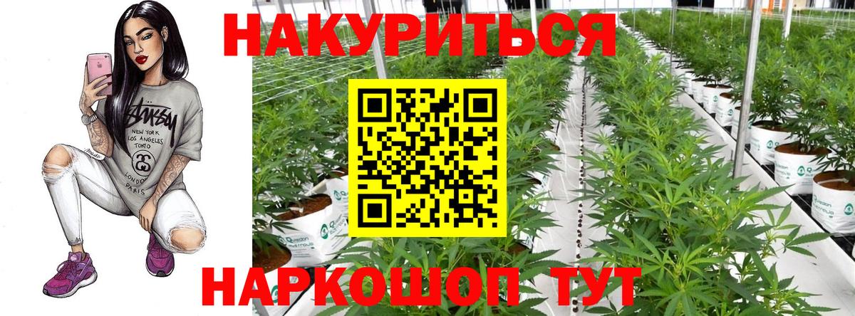 Бошки Шишки марихуана  Вход с VPN  Белебей  МАРИХУАНА семена  Марихуана Bruce Banner 